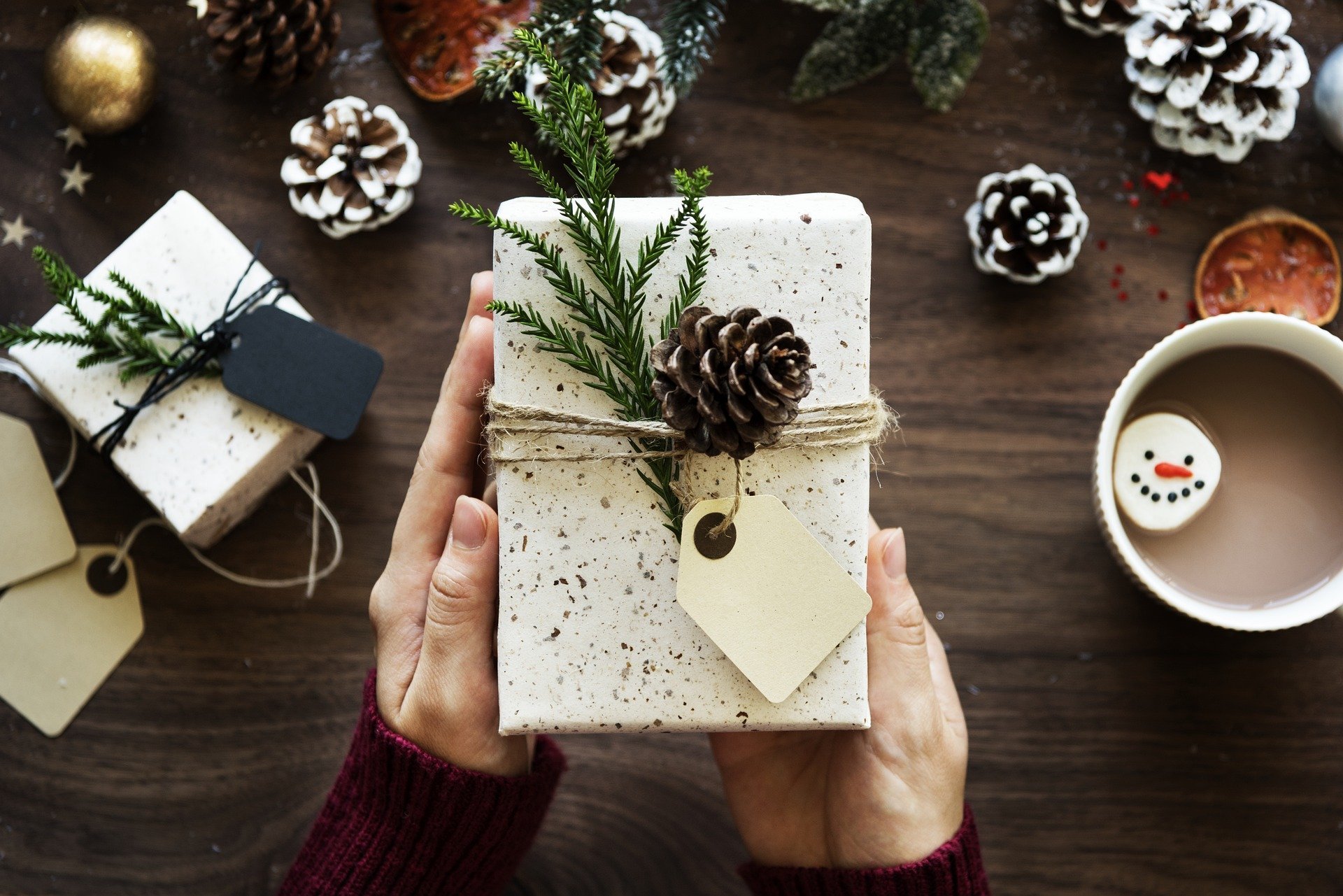 Hands holding a wrapped holiday gift